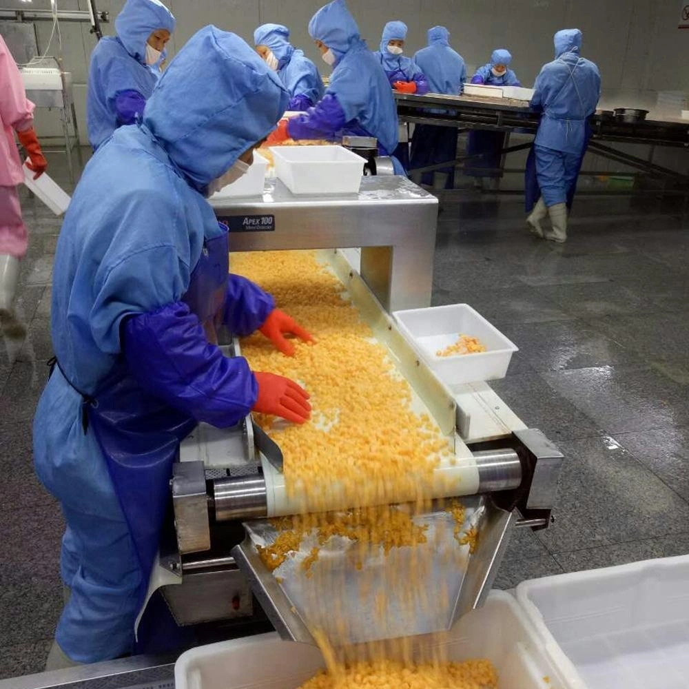 Frutas congeladas las mitades de duraznos amarillo congelados