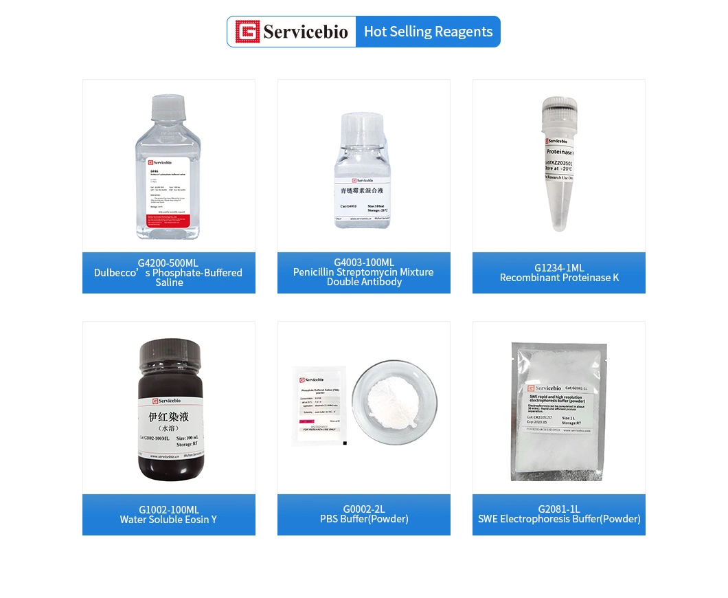 Rna Protein Electrophoresis Buffer Preparation 10 Mops Buffer