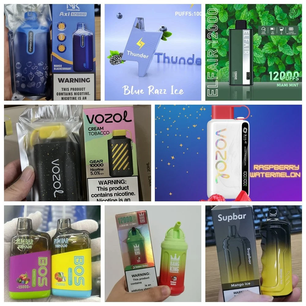 Wholesale/Supplier Rechargeable Electronic Cigarette Custom Vaporizer 4000 5000 6000 9000 10000 Puffs Bar E Disposable/Chargeable Vapes Pen