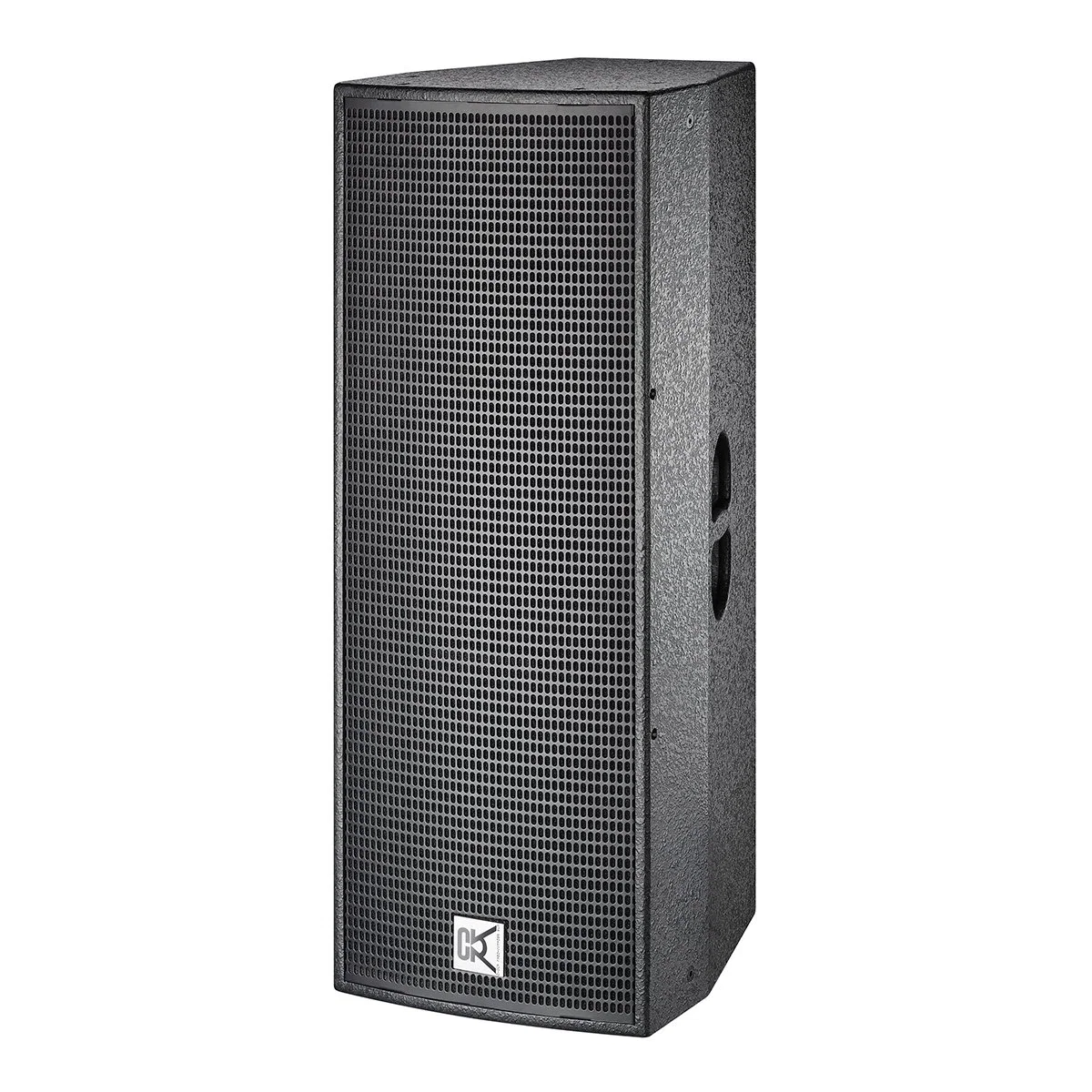 Cvr High End Professional Audio 800W Double 12"Woofer Live Sound for Speech and Music