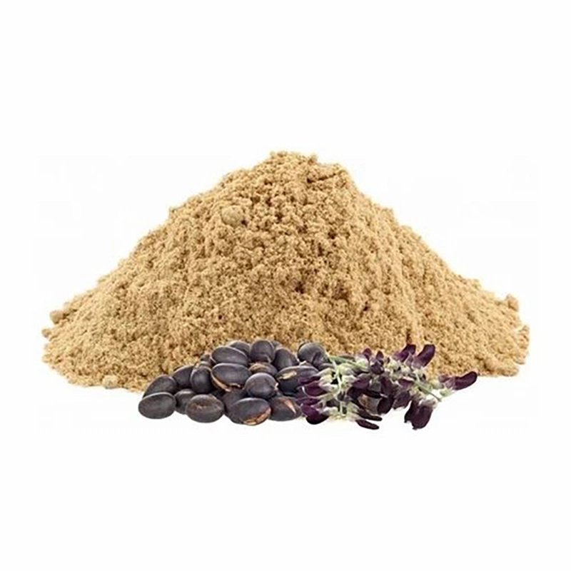 High quality/High cost performance Natural L-Dopa 5% 15%-99% Mucuna Pruriens Powder Extract Levodopa Plant Extract