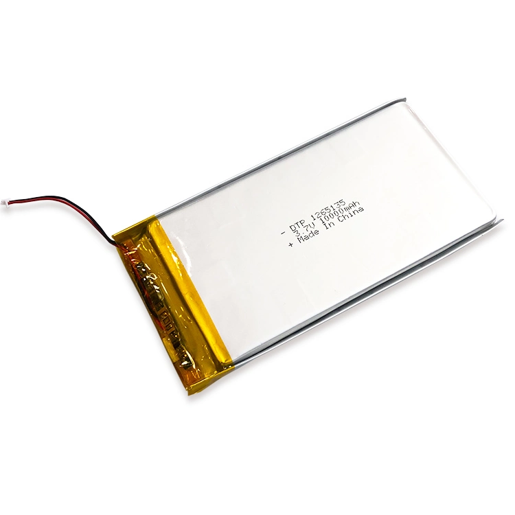 1265135-3s2p 12 V 20 ah batterie solaire au lithium