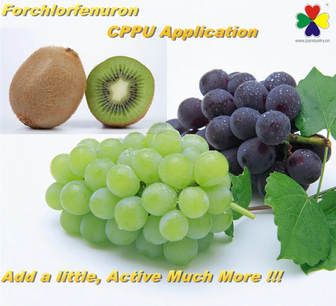 Hormona vegetal Cppu Forchlorfenuron 4-Cppu 99% Tc 1% Sp Polvo soluble