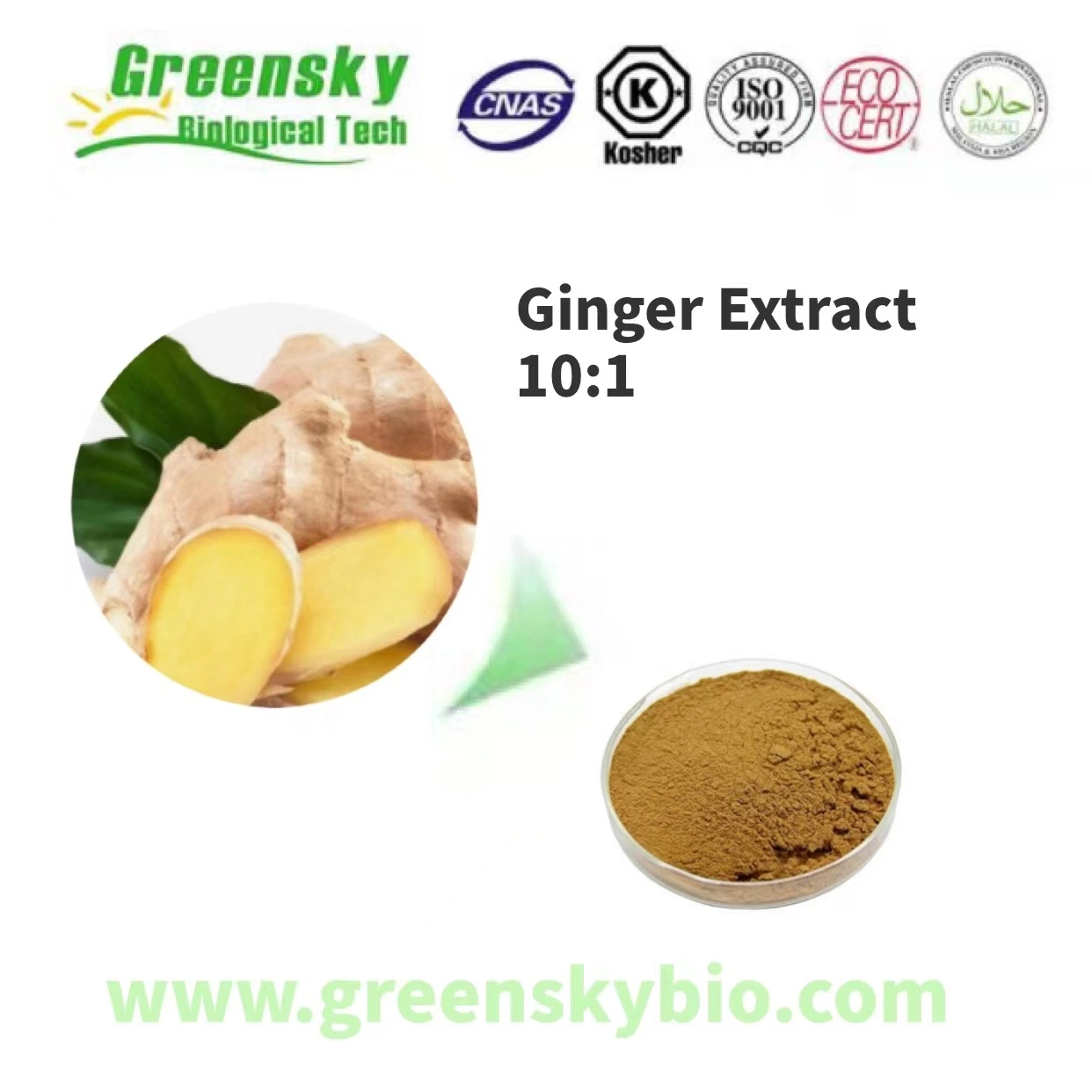 100% natural de alta qualidade extrato de gengibre 10: 1 extrato de raiz de gengibre extrato de gengibre em pó extrato de gengibre Gingerols preço competitivo com uma entrega segura