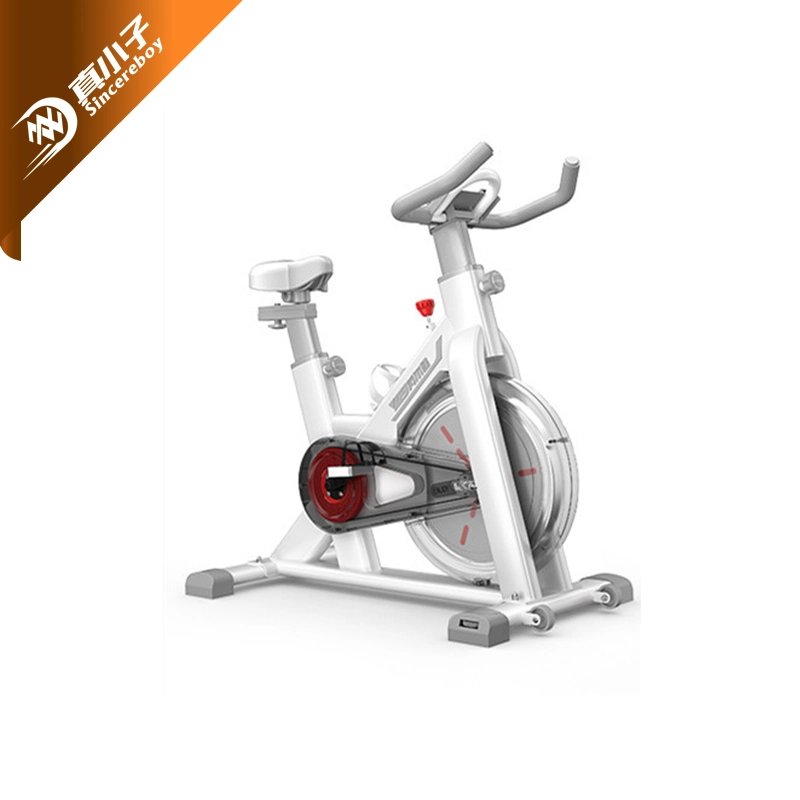 OEM Indoor Cycling, Commercial Magnetic Spin Bike, Stationary Gym Cycle Exercise Bike