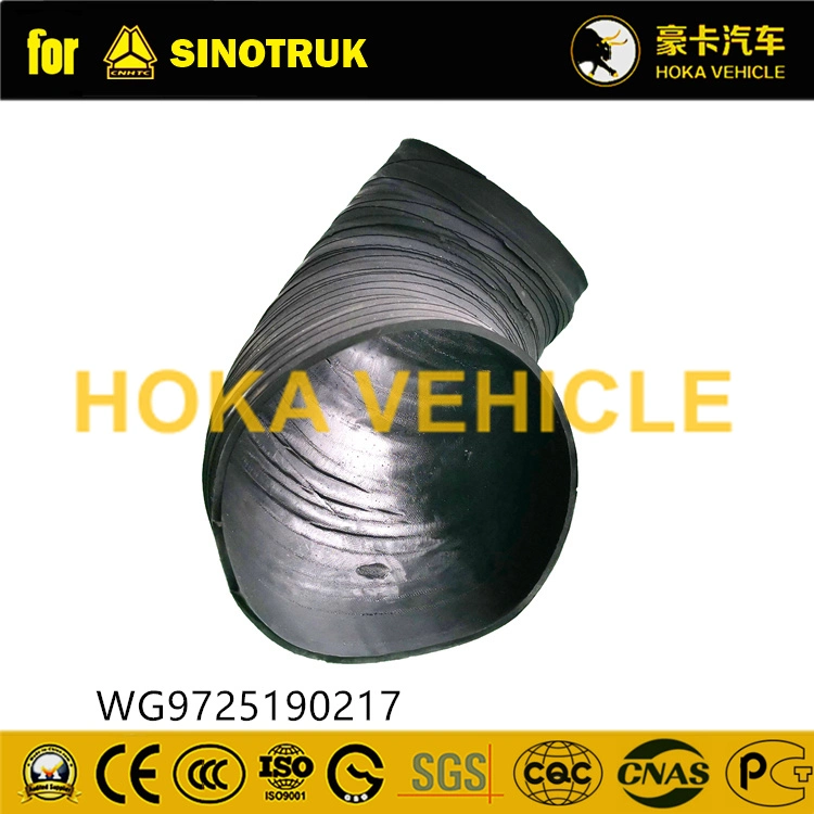 Camion HOWO Sinotruk Original pièces de rechange pour filtre à air du tuyau d'admission Assy Wg9725190217