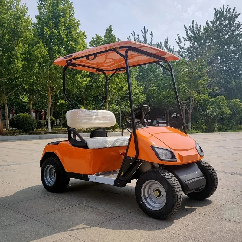 2-6 Seats Low Price Electric Vehicle Golf Carts