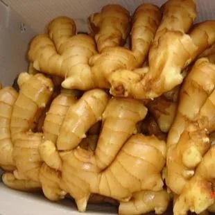 5kg Water Washed 150g & up Fresh Ginger