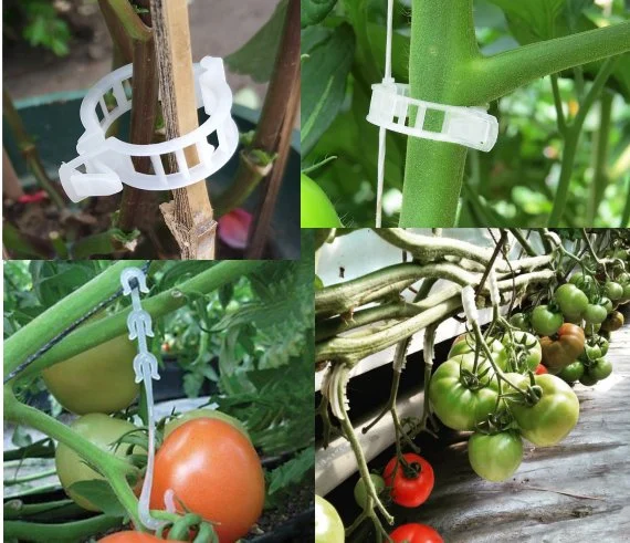 Hydroponic Metal Support Hook Watermelon Grafting Clip