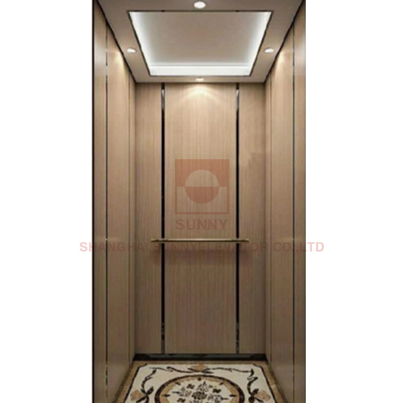 Load 250~400kg Steel Band Style Villa Elevator / Passenger Elevator