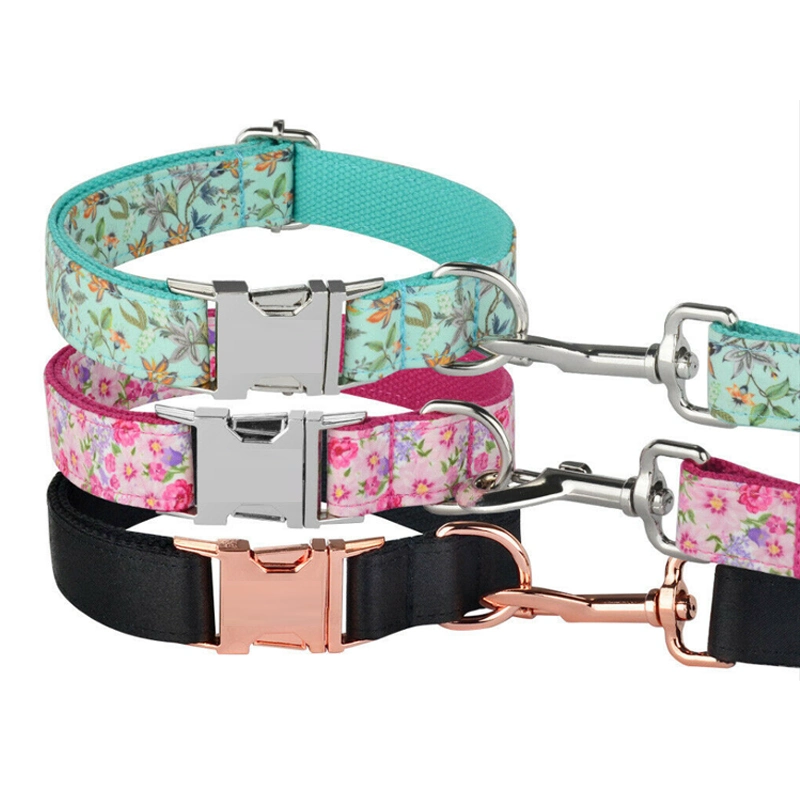 OEM Fashion Personalisierte benutzerdefinierte Luxus Hundehalsbänder und Leashes Metall Schnallen