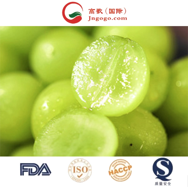 Advantageous Price Delicious Sweet 95-100% Maturity Natural Class a Green Chinese Fresh Grapes