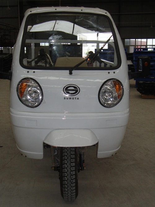 China fábrica adultos cargo Motorcar a Brasil Trike Auto Rickshaw Tricycles eléctricos