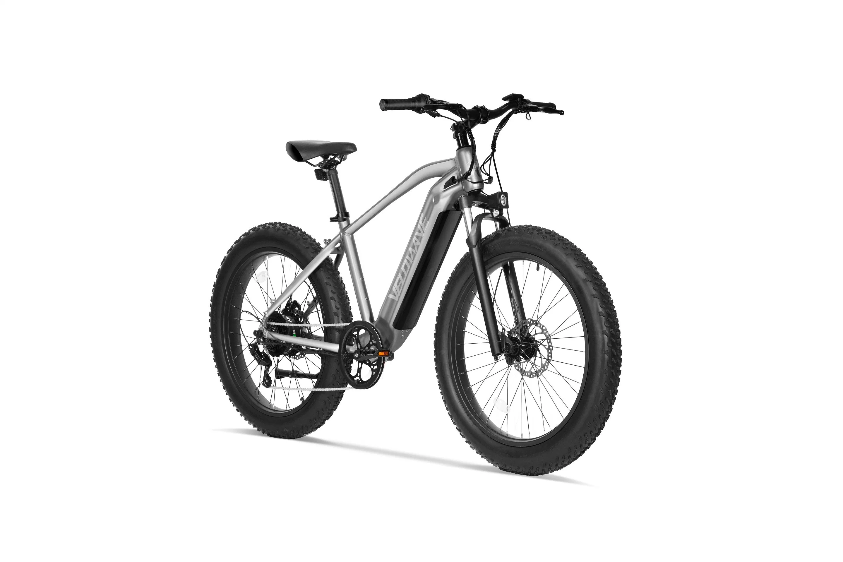 Dirt Electric Bike 750W Motor 48V Lithium Battery Mountain Bike