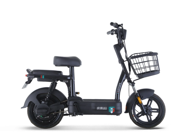 Electric Scooter Bicycle Low Price Lead Acid