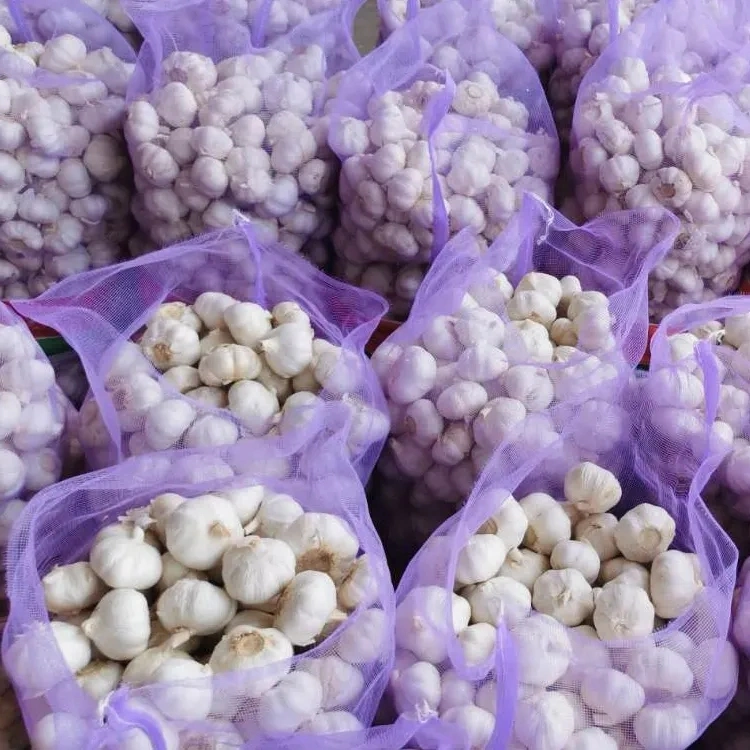 Chinese 2023 Fresh New Garlic Wholesale/Supplier Garlic in Bulk for Export in Low Price