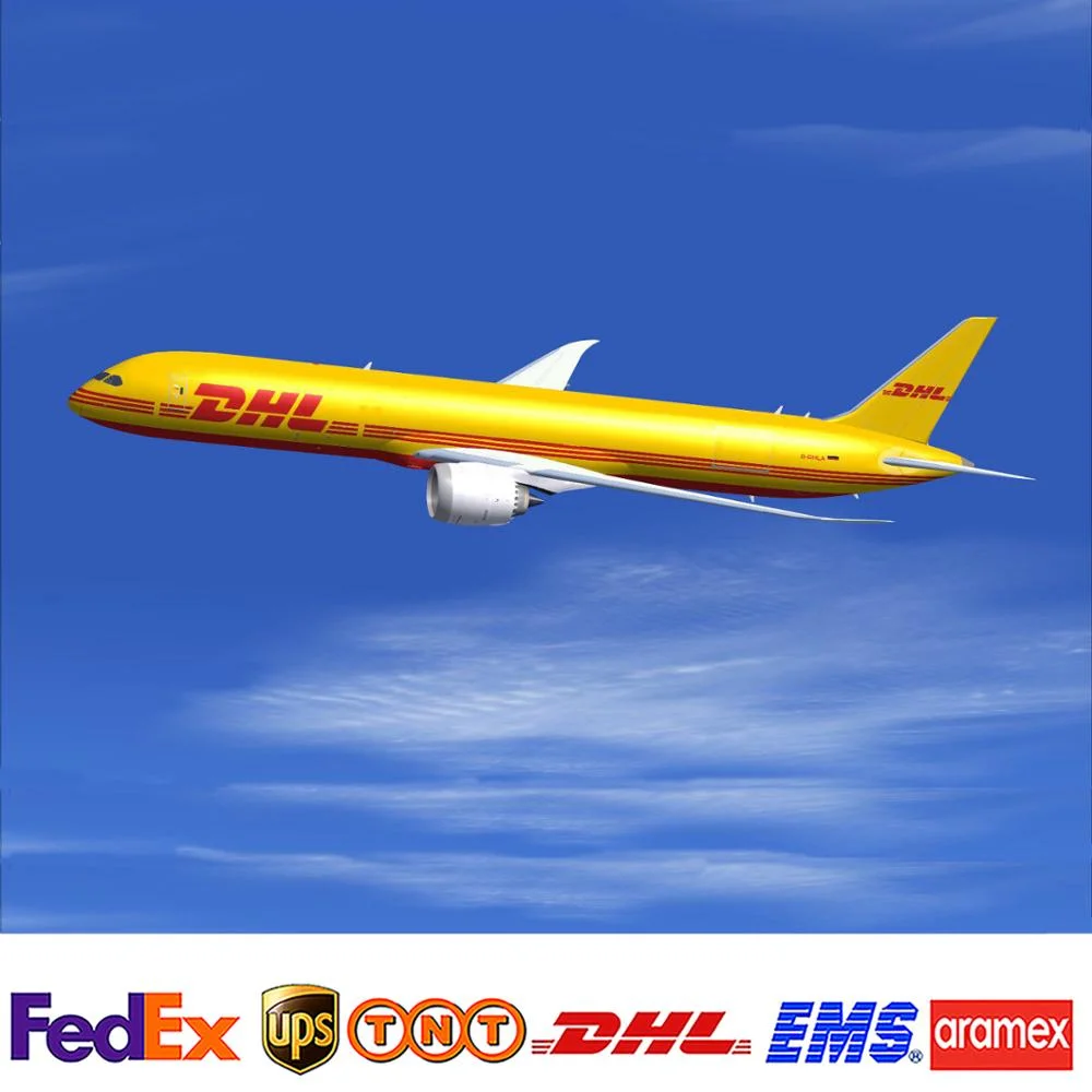 Express DHL FedEx UPS TNT EMS Door to Door Sea Railway Air Freight Forwarder China to EU/UAE/Ca/Us DDP Shipping Agent