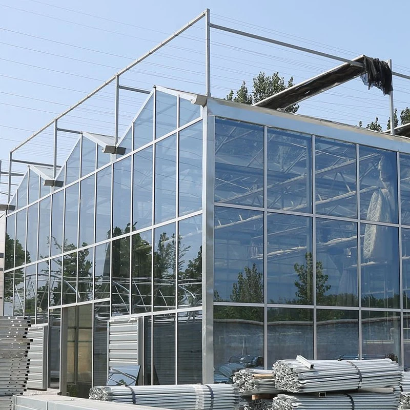 Túnel vegetal agrícola Multi-Span Venlo de efecto invernadero de vidrio para el cultivo de hortalizas