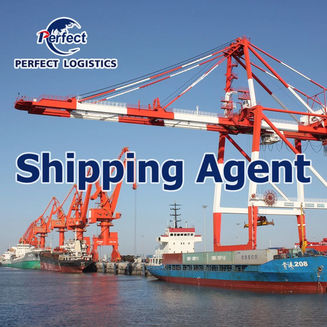 Ocean Cargo Consolidation Shipment Agent From Shenzhen China to Vancouver/Toronto/Canada/USA