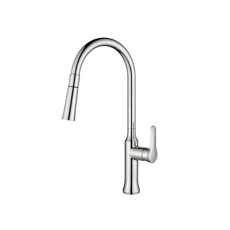 Chromed Functions Pull Down Sprayer Flexible Swivel Bottle Styles Kitchen Faucet