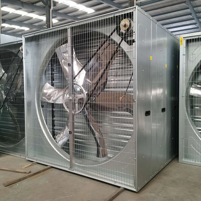 Automatic Poultry Shed Ventilation Fans, Industrial Exhaust Fan