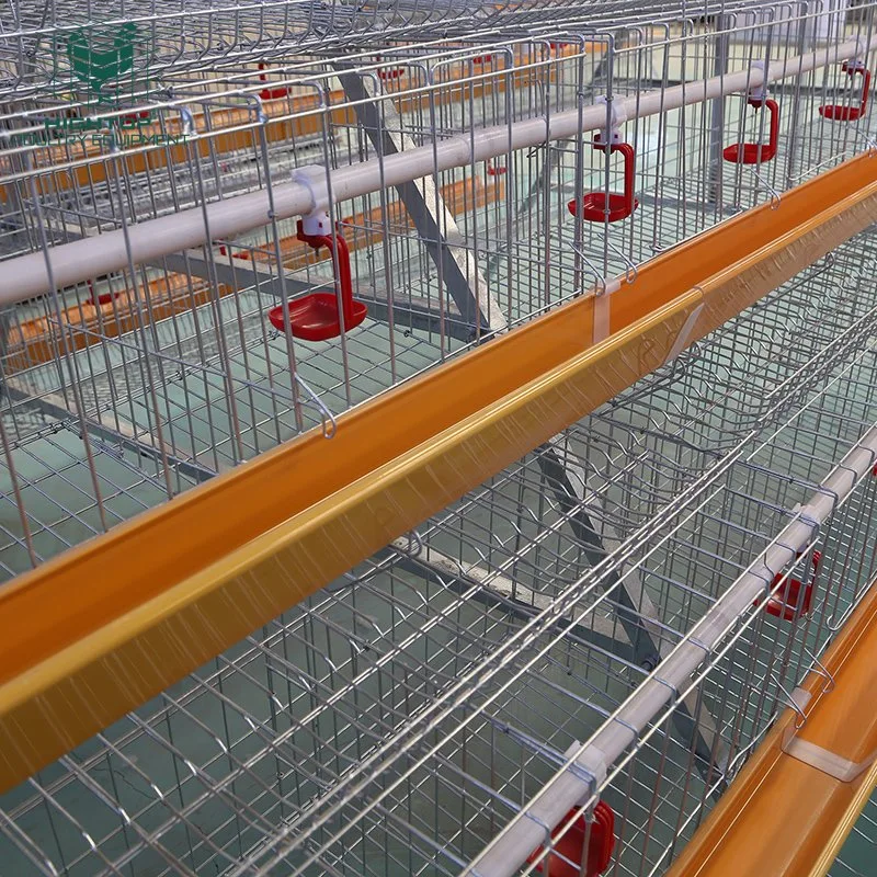 Zâmbia Egg Chicken Farm UM tipo 3 Tier Layer aves Gaiola para 1000 pássaro