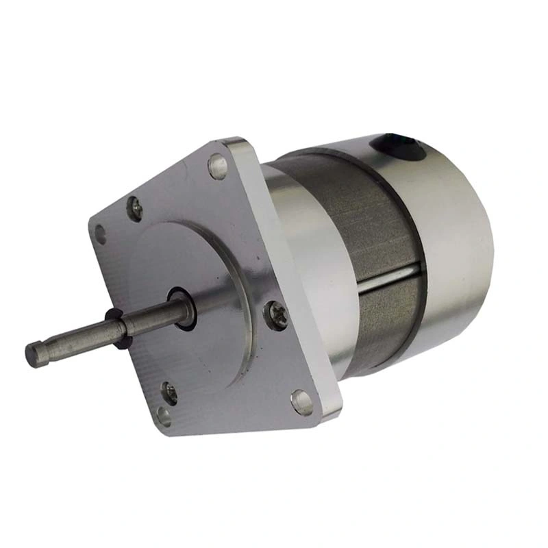 Hq DC Small BLDC Electric Motor with 57mm Diameter for Industry Apparatus