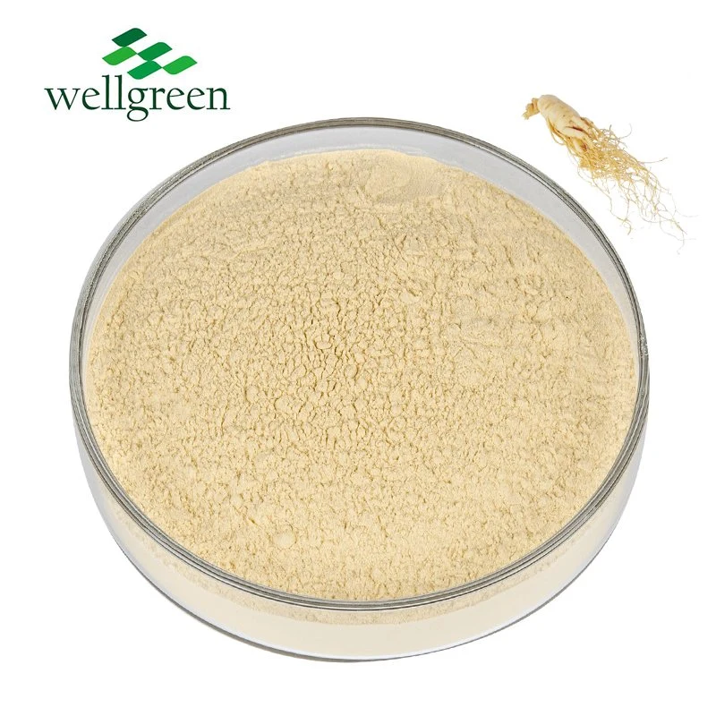 Top Grade Natural Korean Red Ginseng Powder Red Ginseng Root Extract Powder