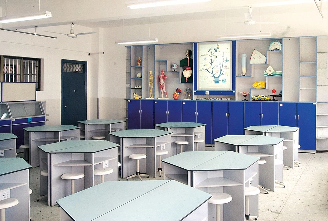 Small Combinzed HDF Tables Physical Lab Furniture