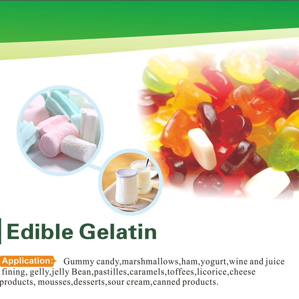 Edible Grade Gelatin Powder in Factory Price (Halal ISO Certified)