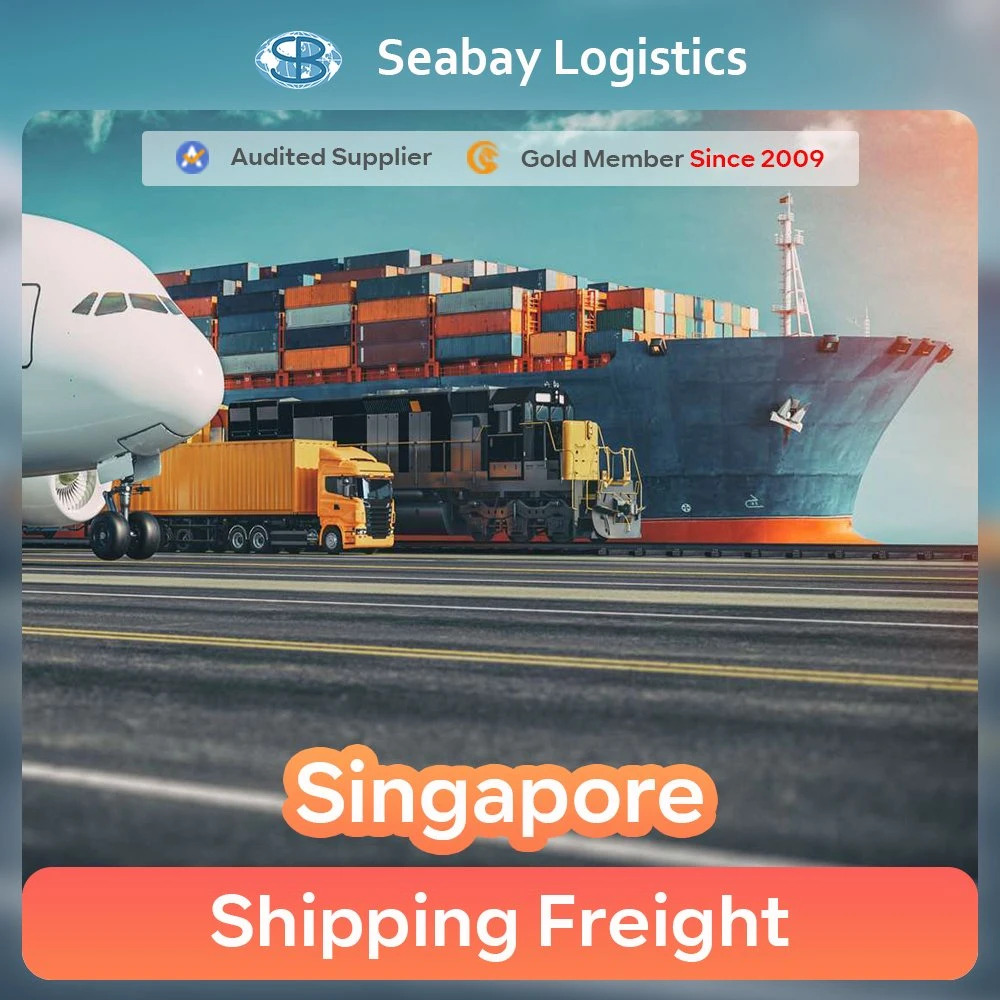 نقل FCL LCL بحراً أو شحن الحاوية البحرية الصينية إلى سنغافورة
