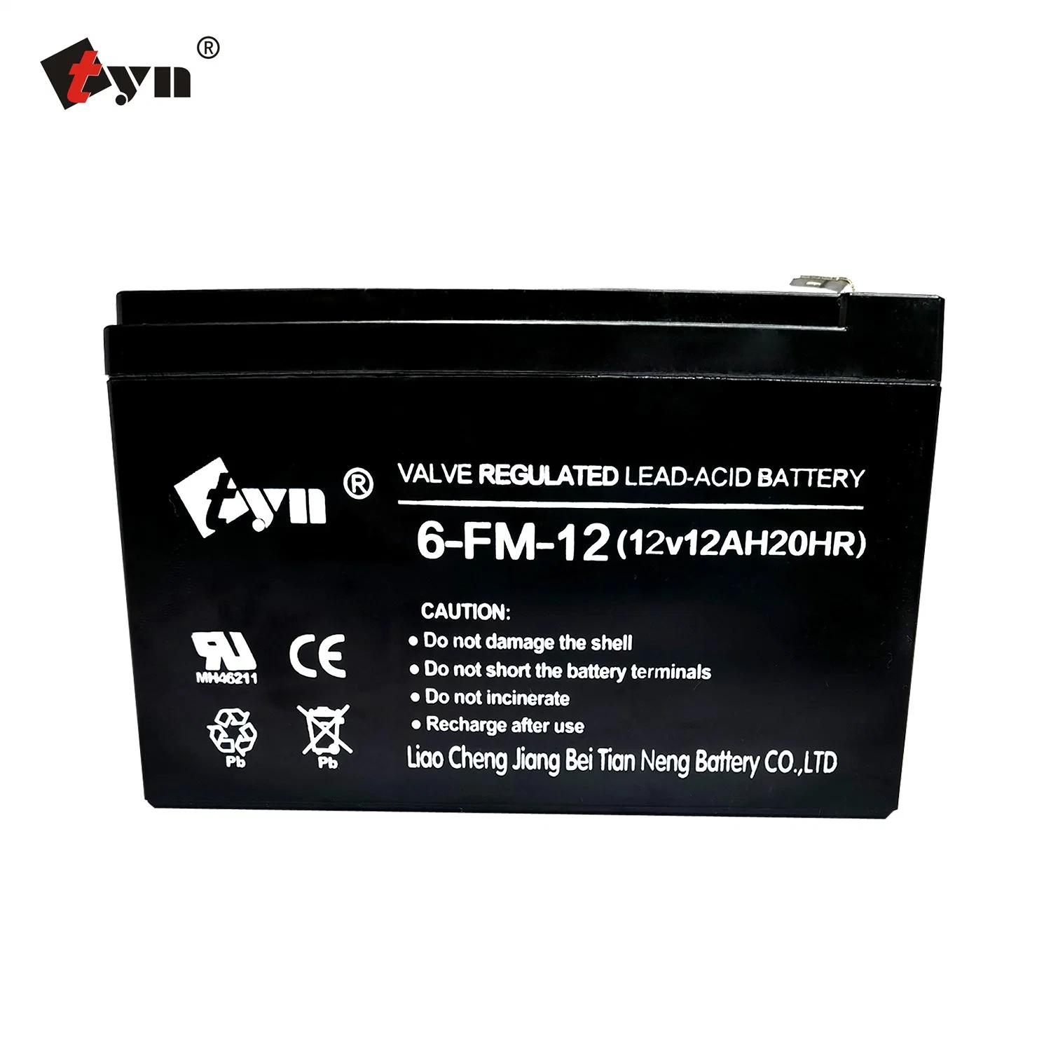 Lead Acid Battery 12V12ah 20hr Mini Portable UPS Battery