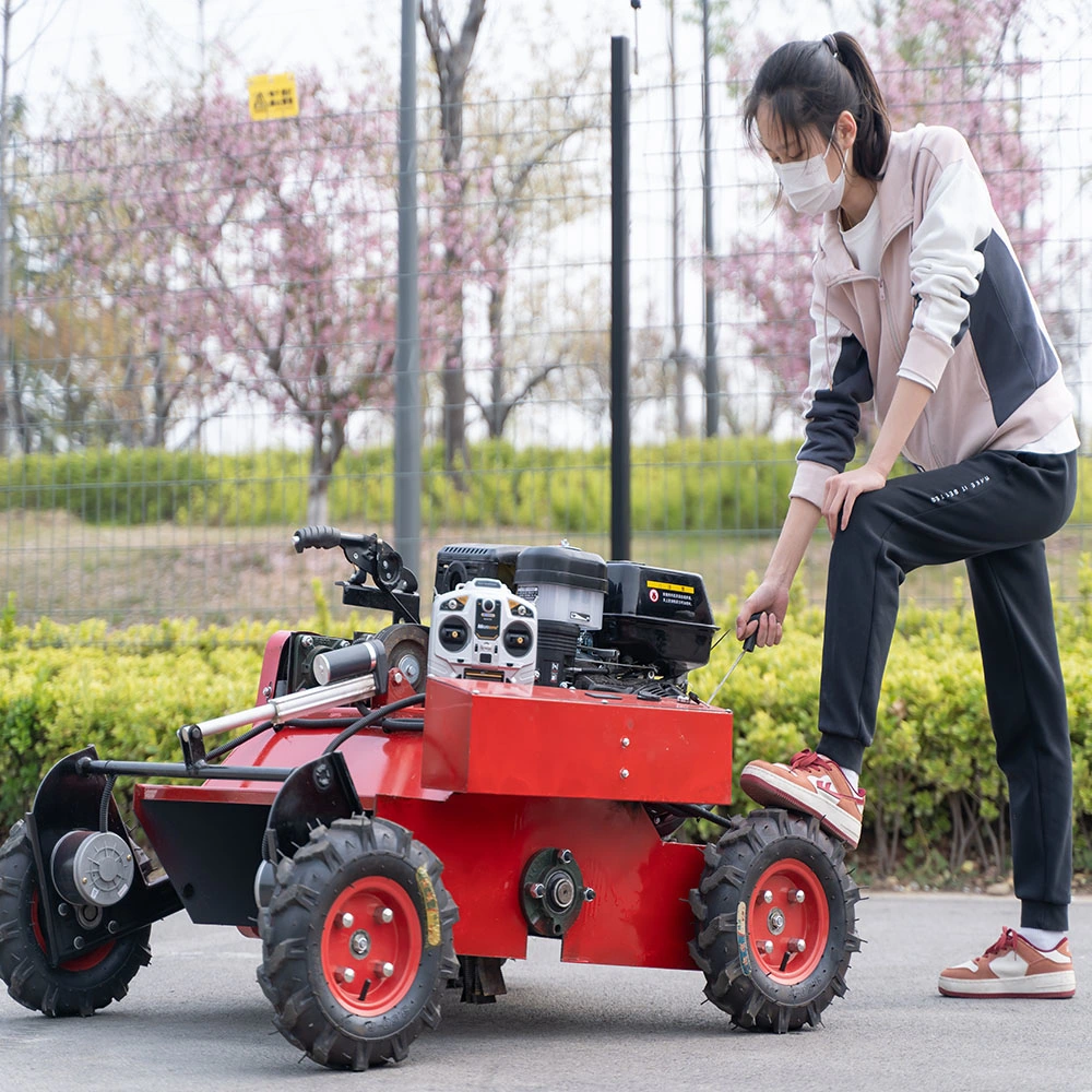 Usine des ventes directes de l'Agriculture, de la sylviculture des vergers, des roues de commande à distance les tondeuses à gazon, tondeuses à essence, les friches débroussailleuses, bienvenue à inq