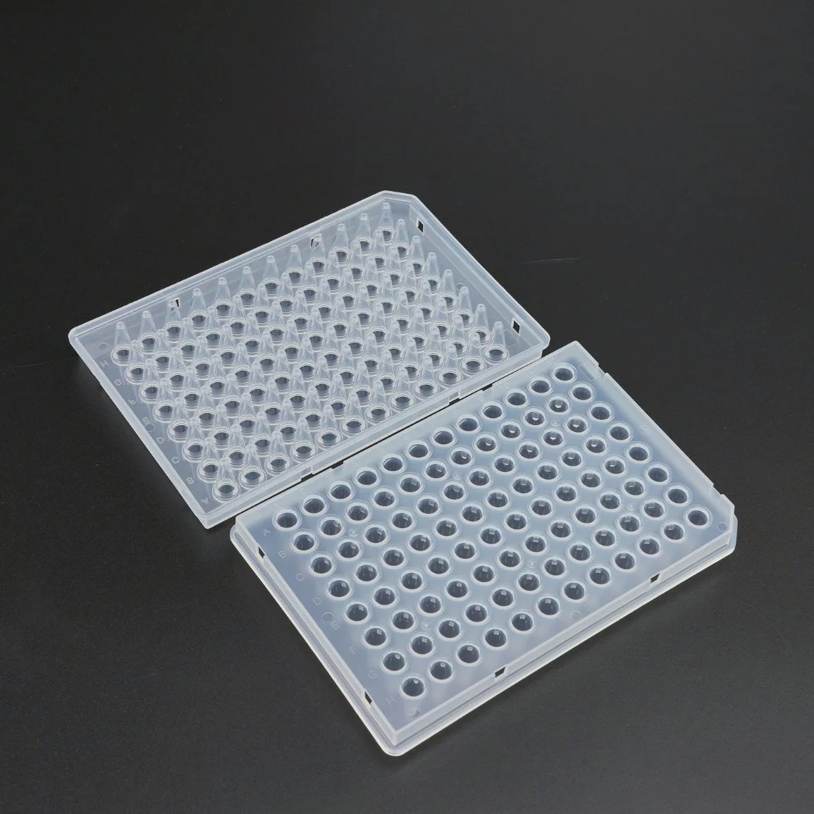 Micro Disposable Lab Consumables Supplies Polypropylene Transparent Deep Well Plate 24well