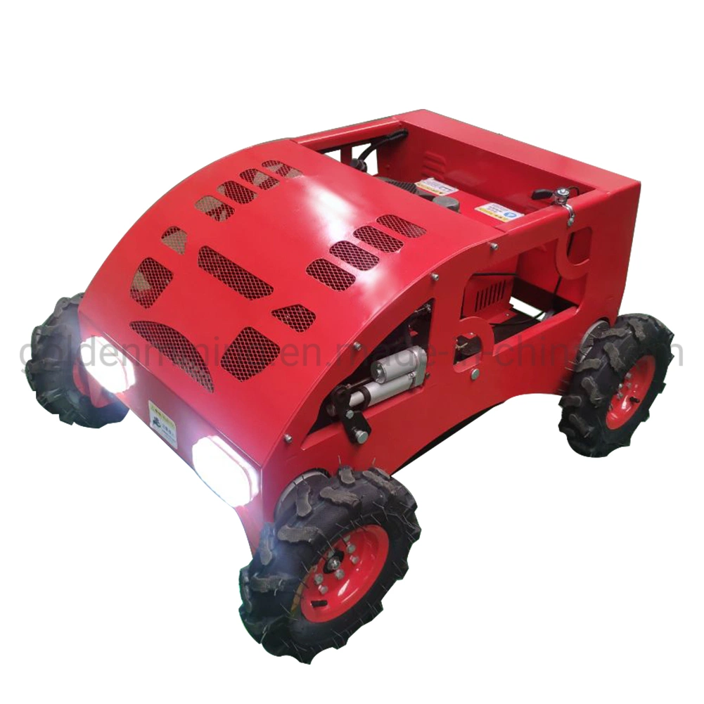 Gasoline Lawn Mower and Easy to Use Gardening Tools