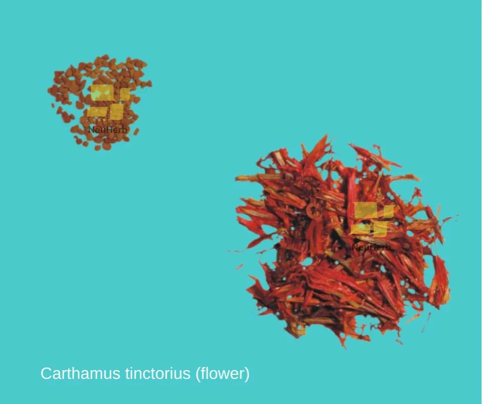 Carthamus tinctorius (fleur) préparé Chinese Herbal Medicine brut traditionnel Herb Anti dysménorrhée