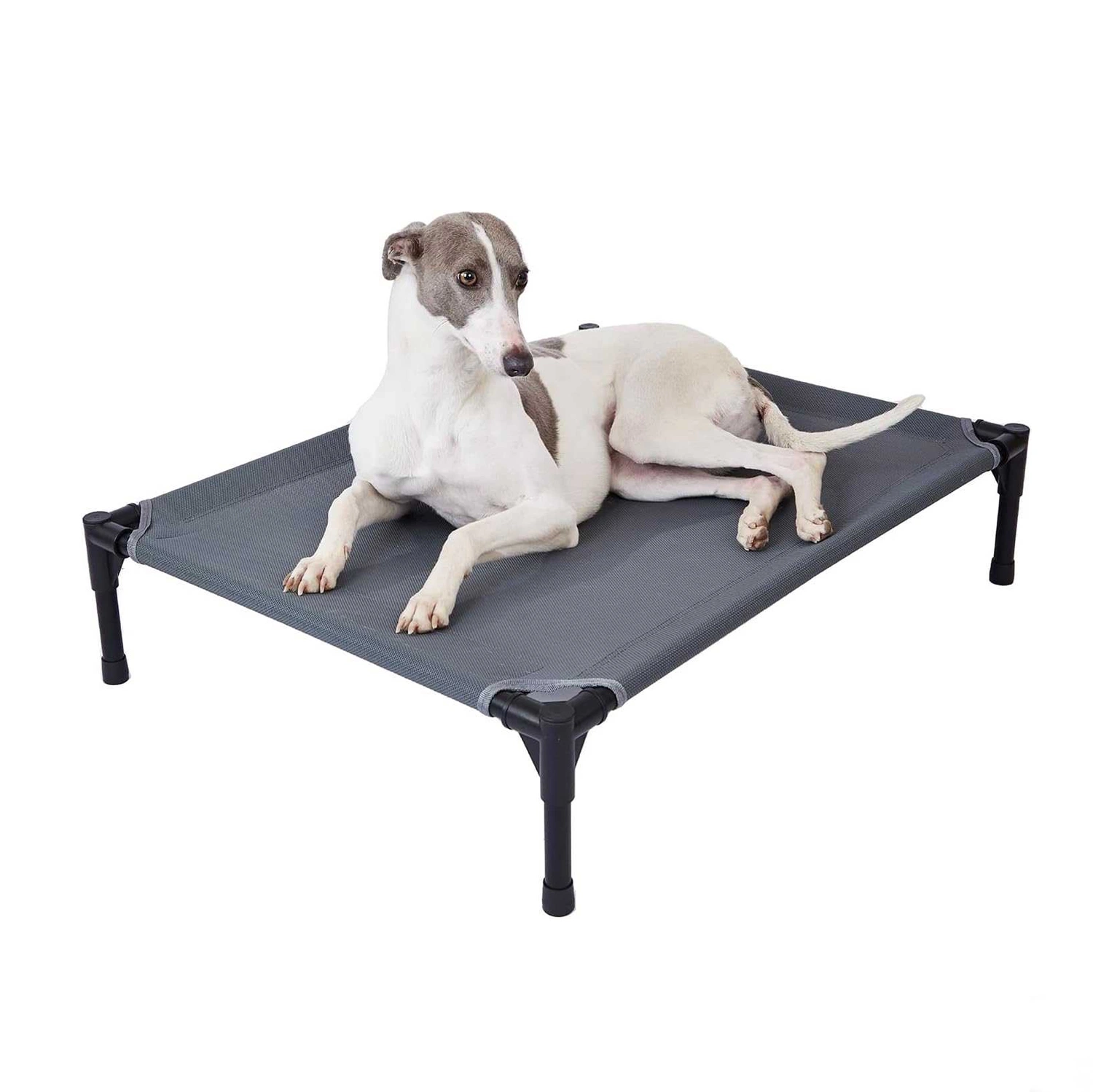 Pet Elevated Dog Bed Iron Frame Mesh Fabric Pet Bear Heavy Weight