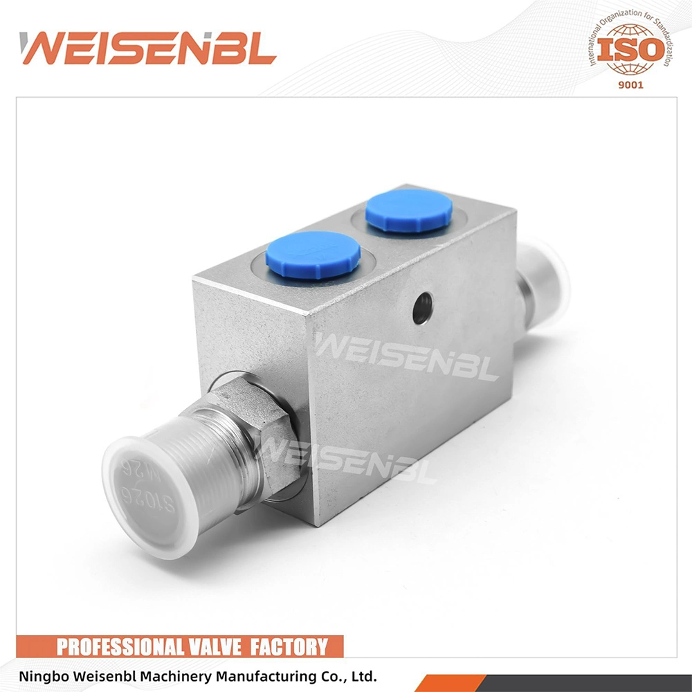 Great Quality High Custom Size Wholesale Single Pilot Check Valve