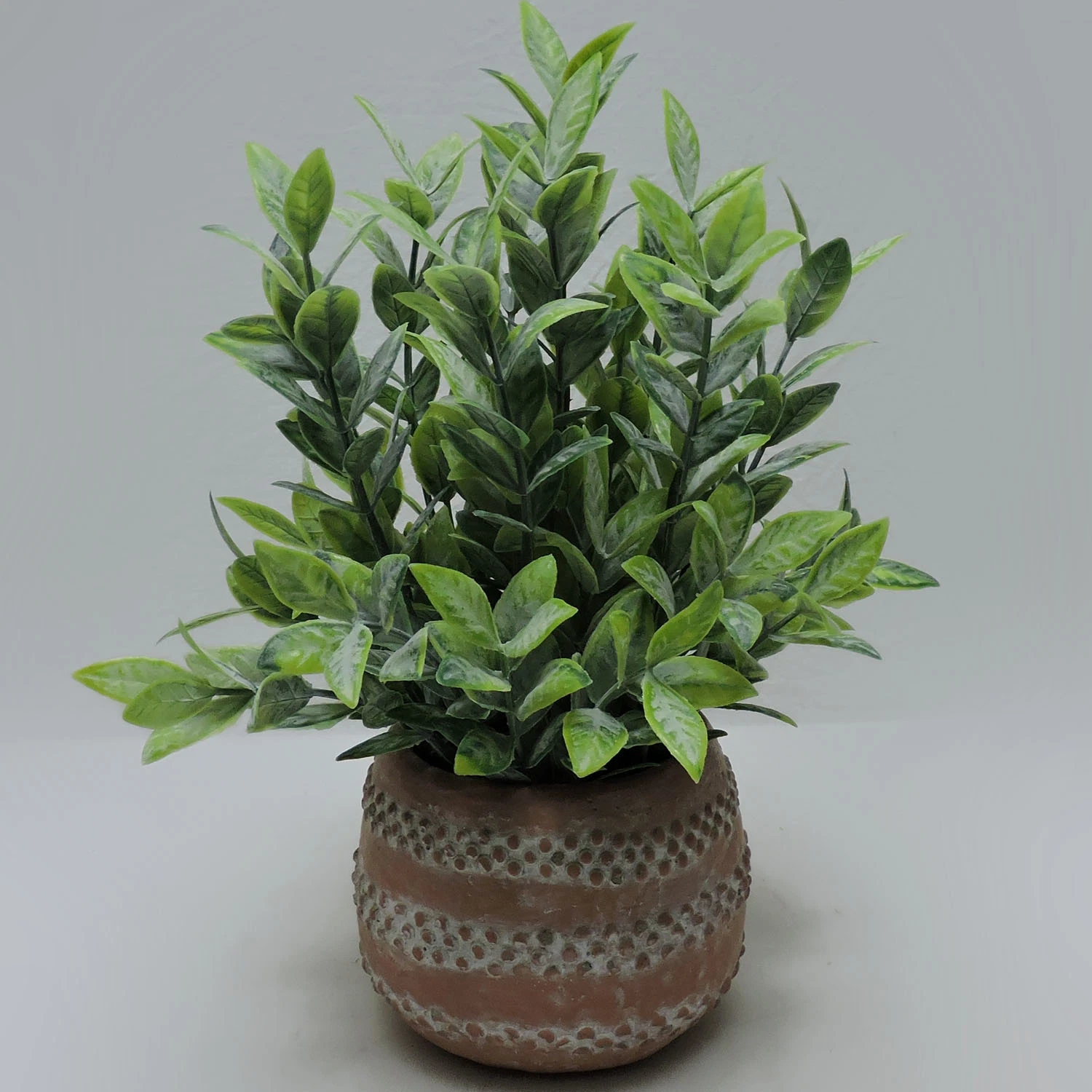 Decorative Plant in Pot