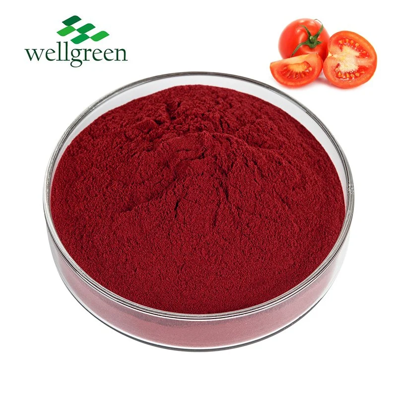 Wellgreen Factory Red Powder 10% Tomato Extract Powder Organic Lycopene