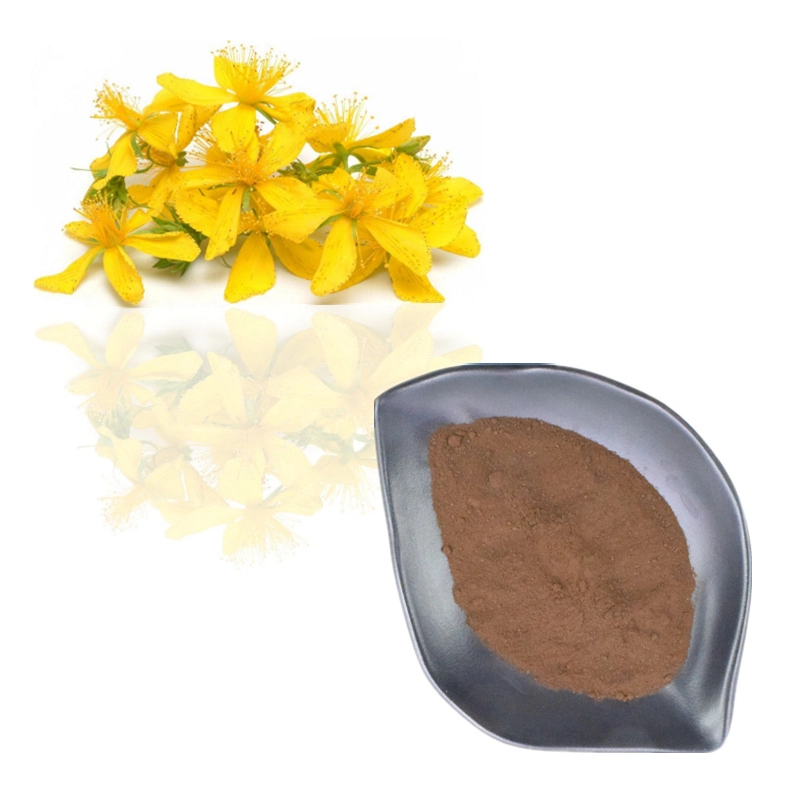 High Quality 0.3% -0.6% Hypericin St. John's Wort Extract