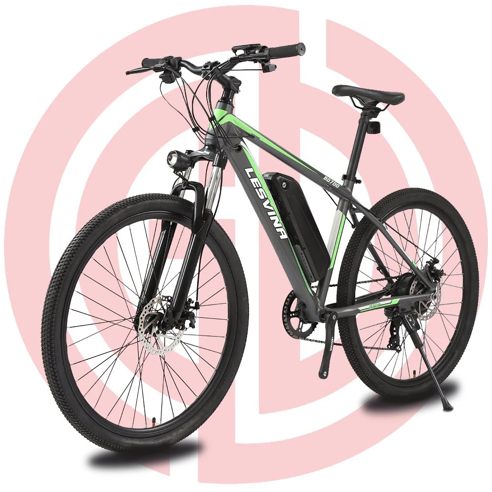 Electric Mountain Bicycle Electrical Scooter Bike with Disc Brake Ebike