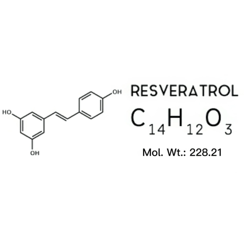 Natual Plant Extract Polygonum Cuspidatum Extract Active Constituent Resveratrol 98% Anti-Allergy Factory