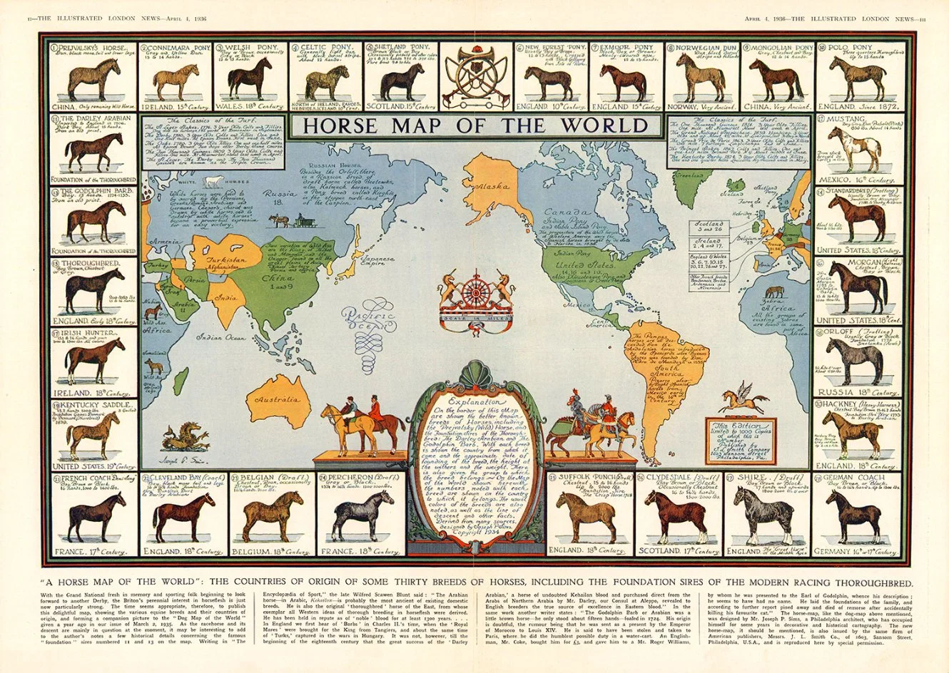 World Equestrian Breed Distribution Map2000 Piece Пластиковые пазлы в бутылках с настраиваемыми узорами, размерами и количеством штук для игрушечных подарков для взрослых