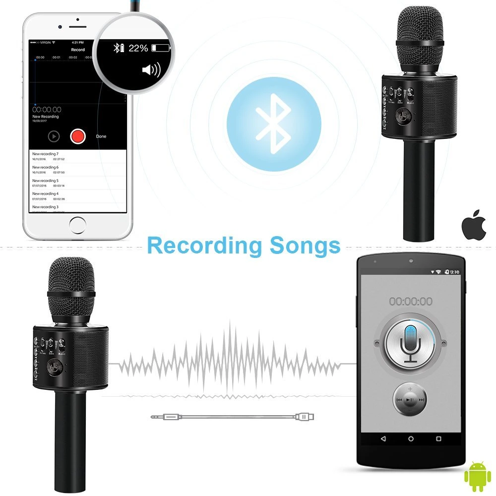 Portable Microphone and Speaker for Muisc Playing and Singing