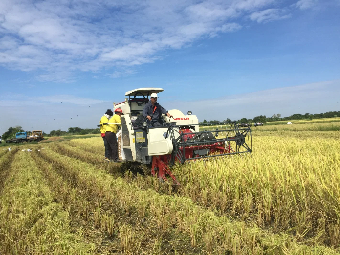 Self-Propelled Full Feed Rubber Track Combine Harvester 4lz-4.0e