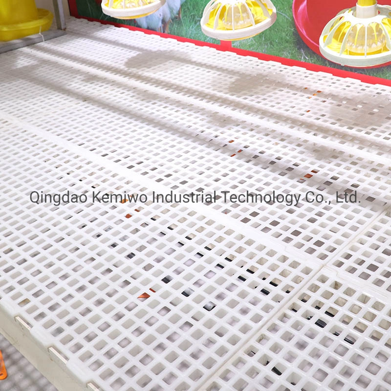 Poultry Farm Chicken Coop Plastic Basement Mats