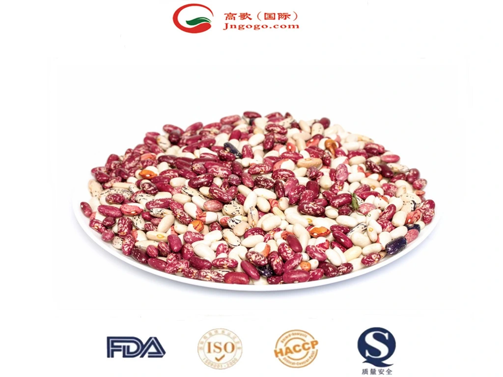 High quality/High cost performance Xinjiang Round Shape Lskb Beans