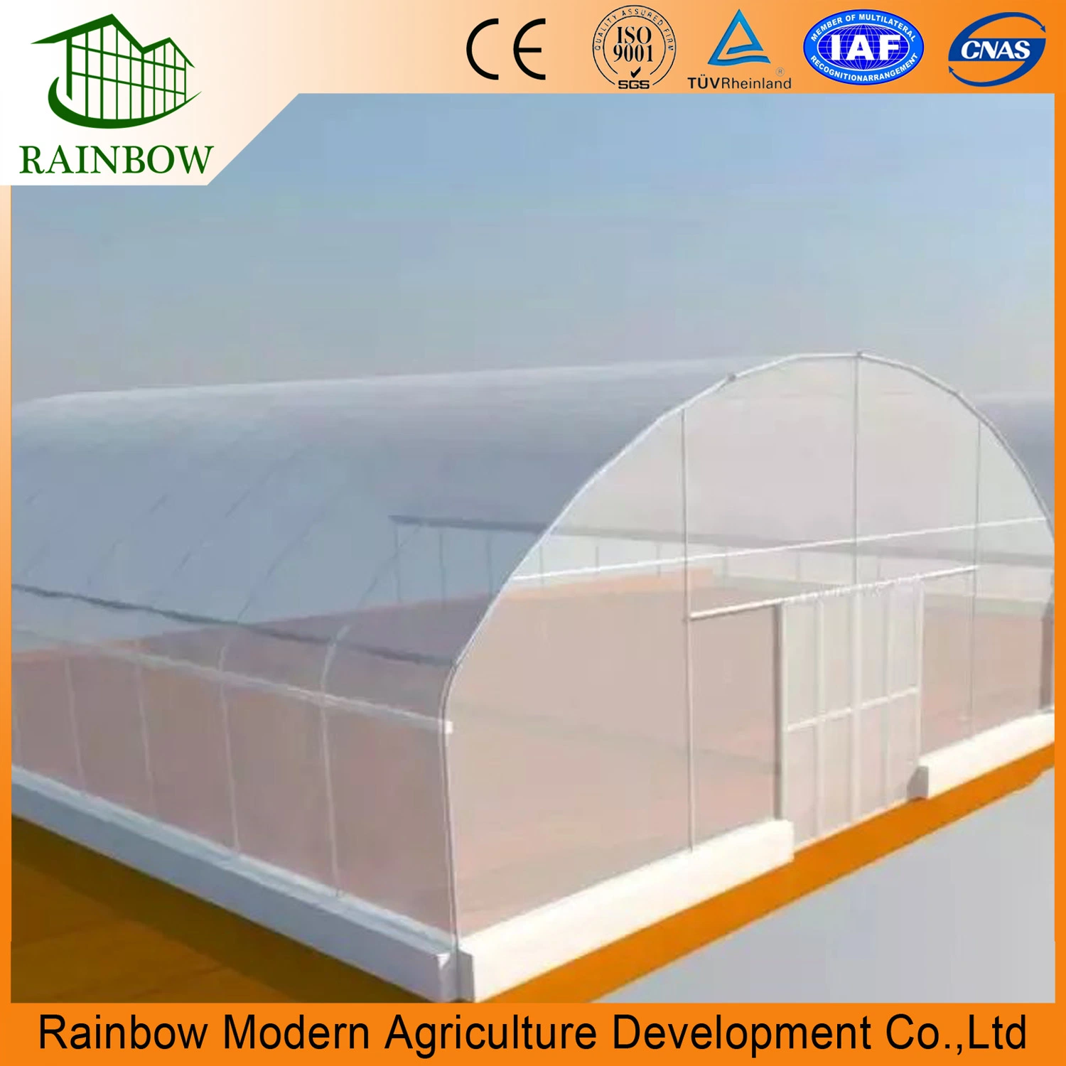 Low Cost Commercial Single Span PE Film Greenhouse