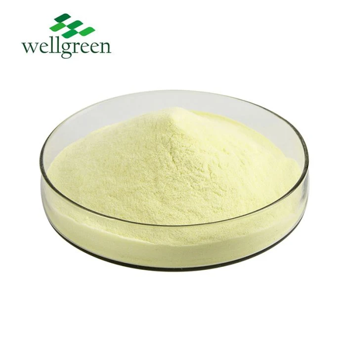 Wellgreen Skincare Vitamin a Retinol Additives 50000iu/G Vitamin a Acetate Powder